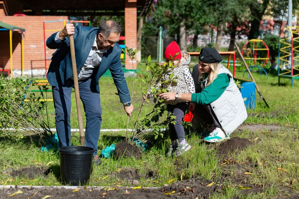 Сергей Иванов, директор Красноярской теплосети (СГК), вместе со своей командой принимает участие в высадке деревьев. На его личном счету уже более тысячи деревьев