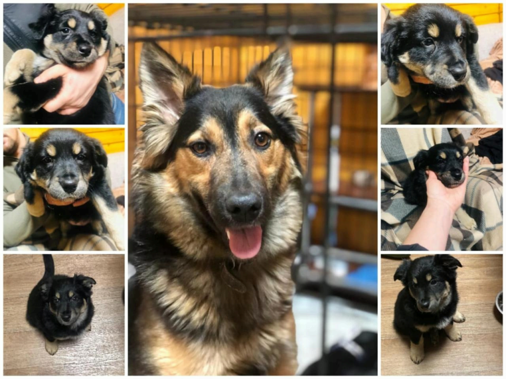 Через соцсети всех малышей пристроили в заботливые руки