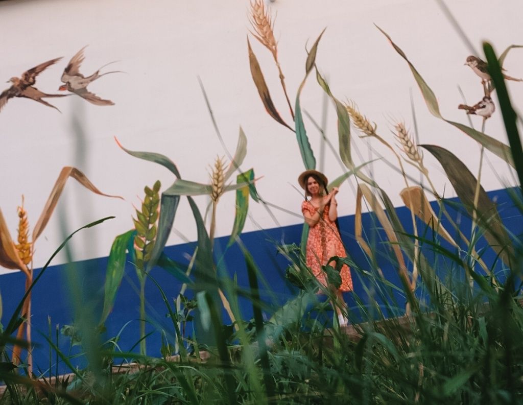 Приглашаем полюбоваться!