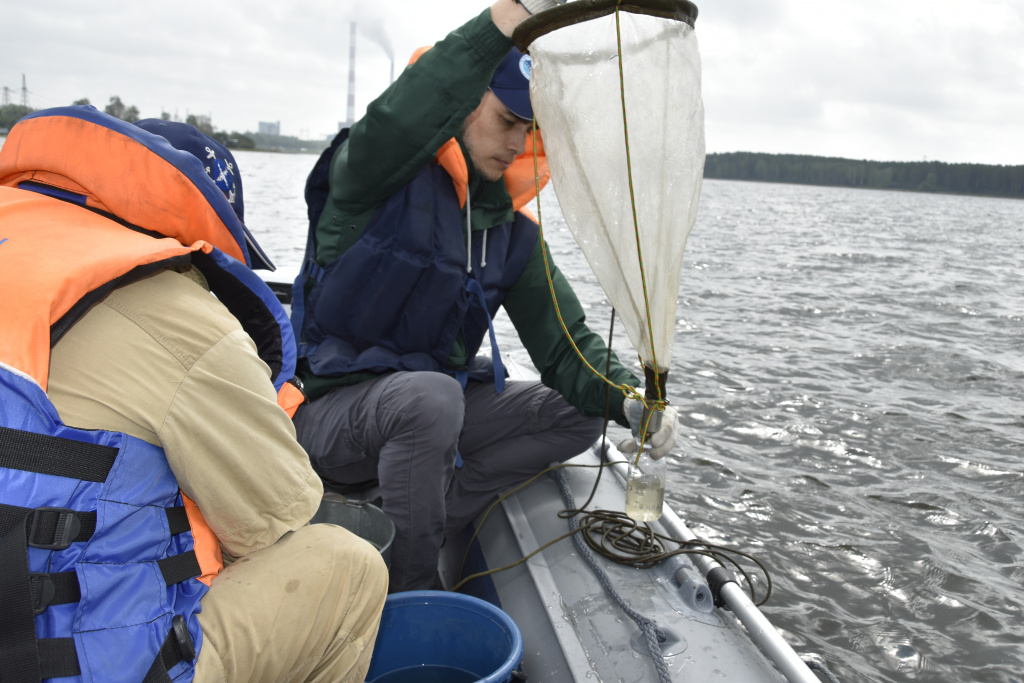 Специальным сачком собирают пробы планктона