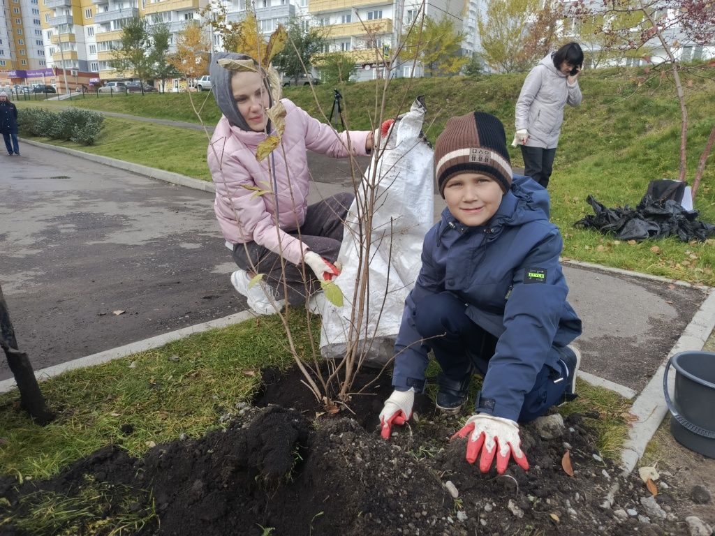 Первоклассник Никита вместе с мамой высаживает сирень
