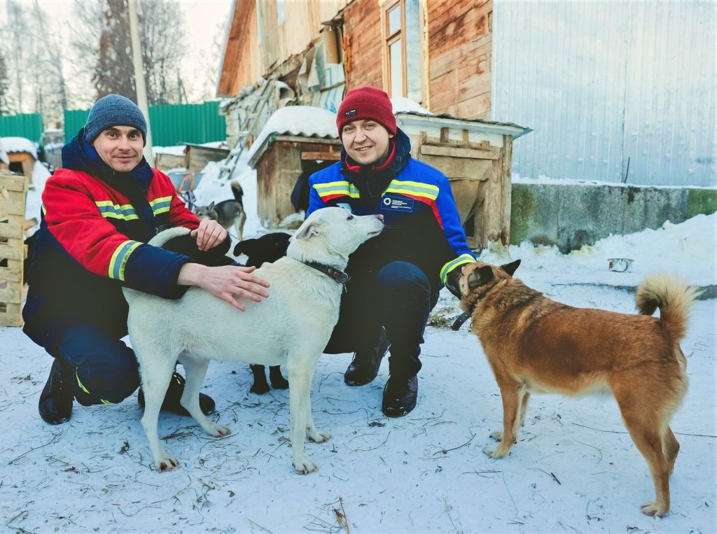 Сотрудники новокузнецких предприятий СГК в приюте &laquo;Дом друзей&raquo;. Здесь живут почти 150 собак и кошек &mdash; возрастных, с проблемами со здоровьем. Шансов найти дом у них очень мало. Приют, как и другие, существует только благодаря волонтёрам и помощи неравнодушных людей