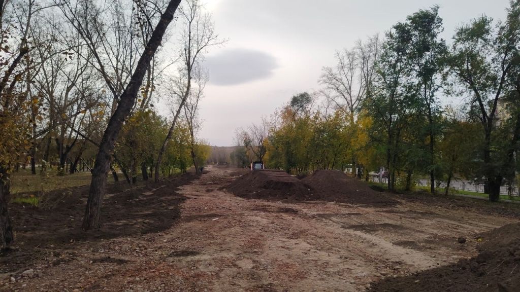 Прогулочную аллею готовят к благоустройству