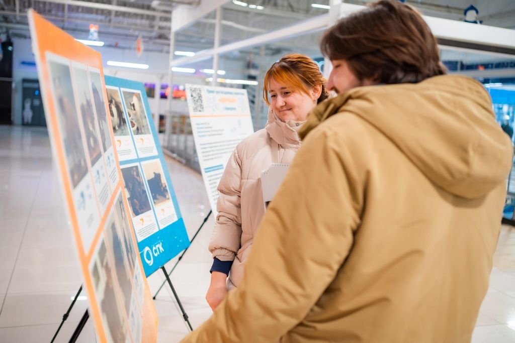 На фотовыставке каждое фото было подписано: имя, возраст и короткая история животного. И вдруг это поможет хоть кому-то из них обрести хозяина! Перед Новым годом вера в чудеса сильнее