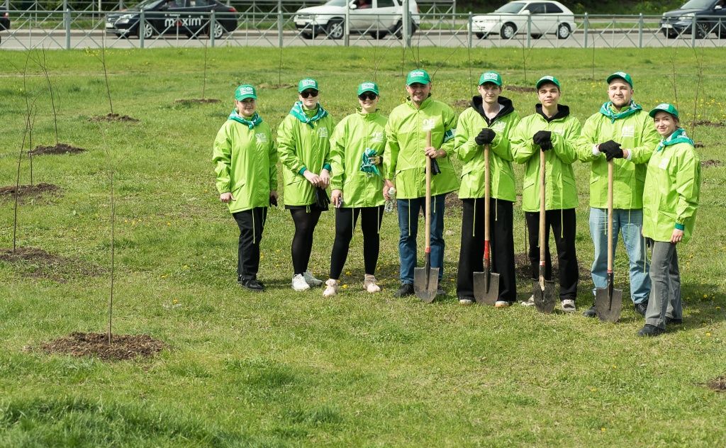 Пусть растут высокими!