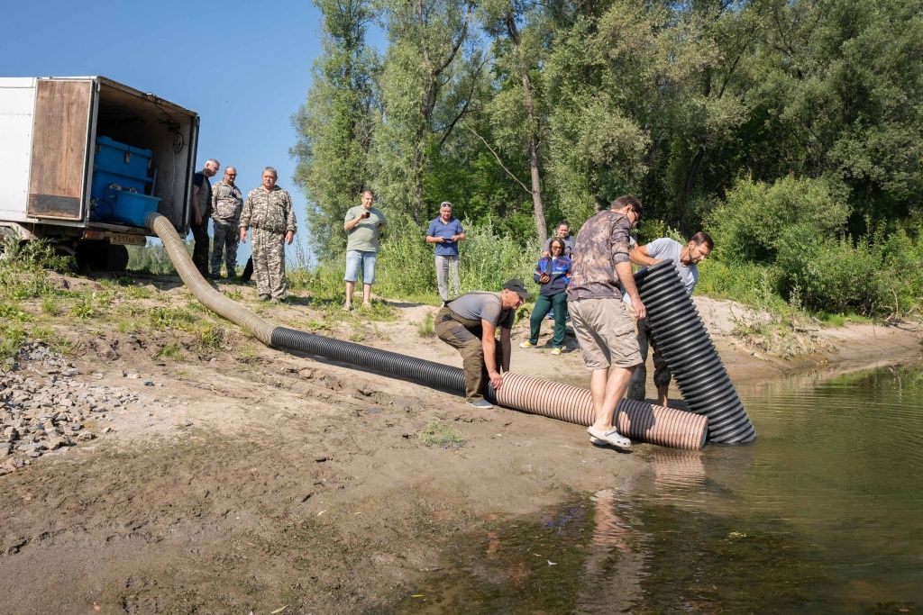 По такому рыбопроводу мальки отправились в свободное плавание