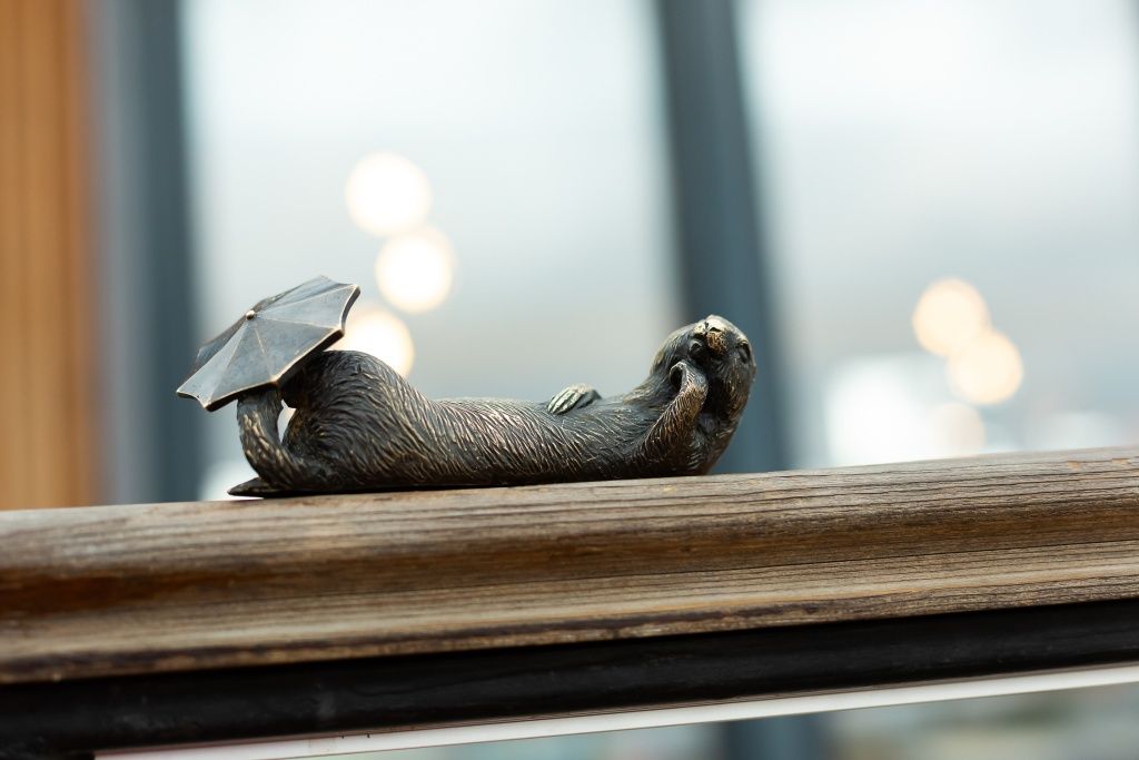 Пушистая красотка Рая расположилась под зонтиком на перилах местного кафе