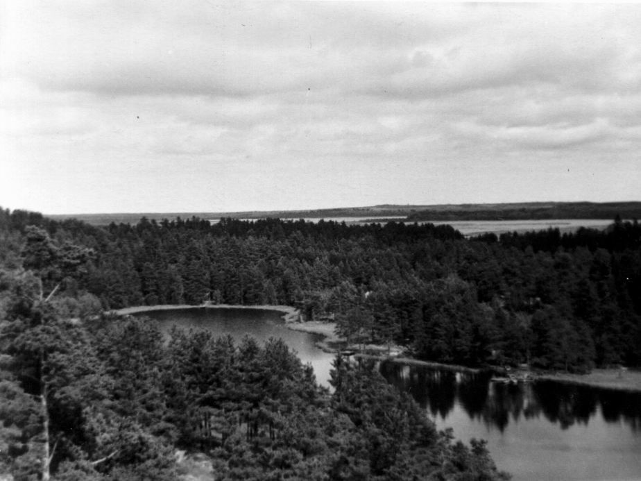  Живописные места Токсово. Фото ресурса toksovo-lo.ru