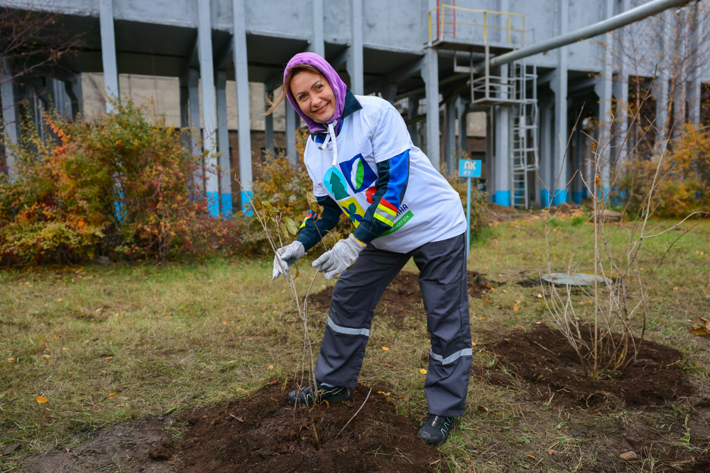 Следующей весной эти кустики сирени будут радовать не только сотрудников, но и гостей станции