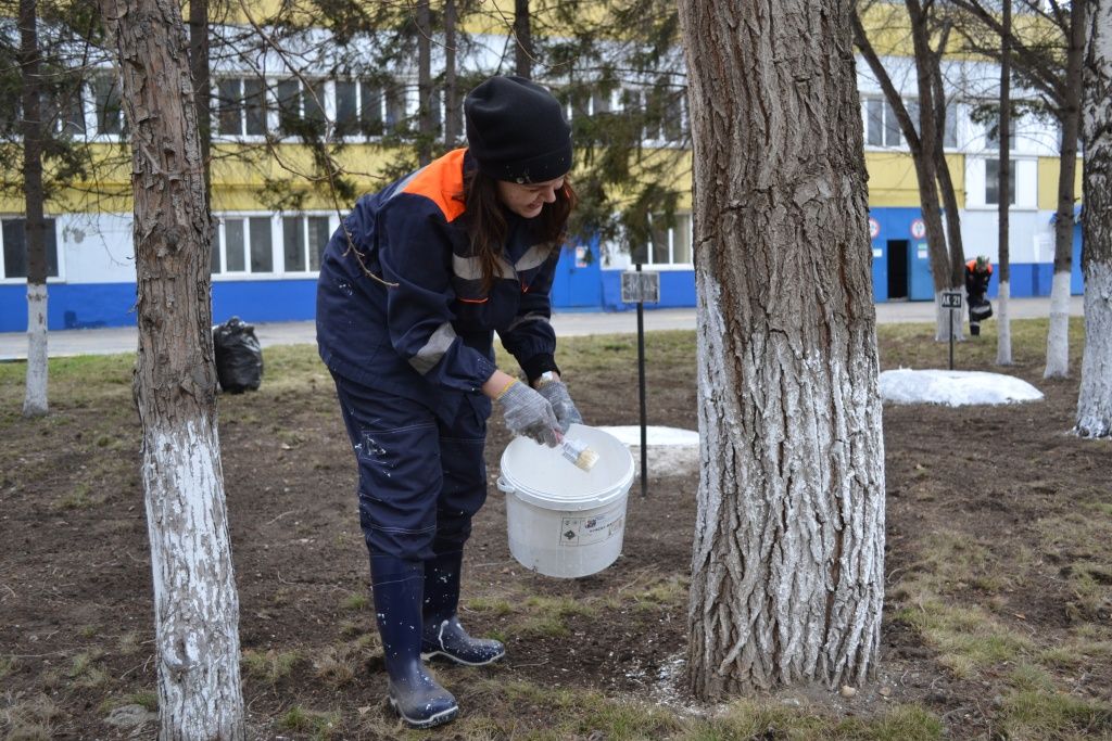 Аппаратчик хиводоочистки Юлия Буторина на субботнике занималась побелкой деревьев