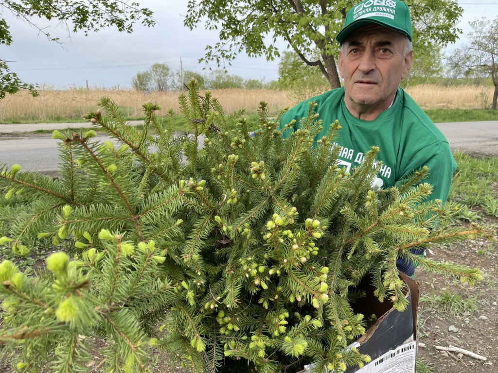 «Зеленая дружина СГК» начала традиционные весенние высадки деревьев
