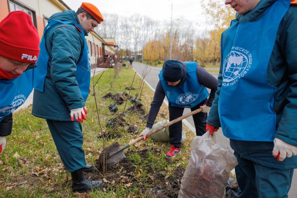Высадку саженцев в землю курируют наставники