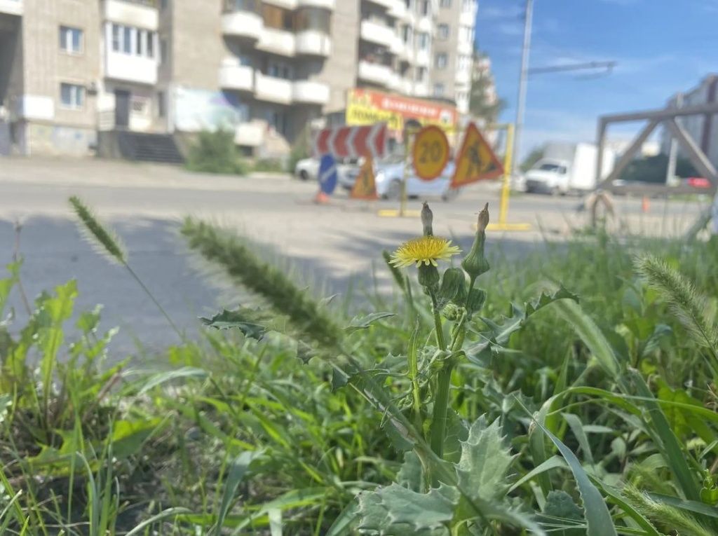 Дорожное движение на этом участке достаточно интенсивное