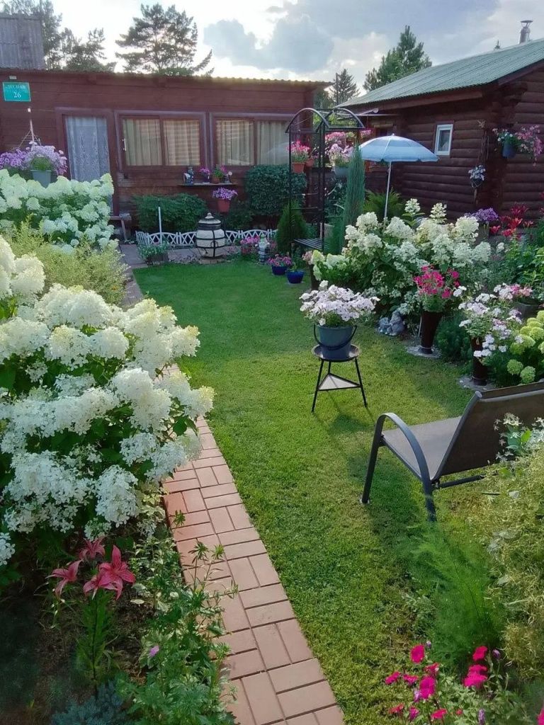 Такой цветник у Марины на даче.