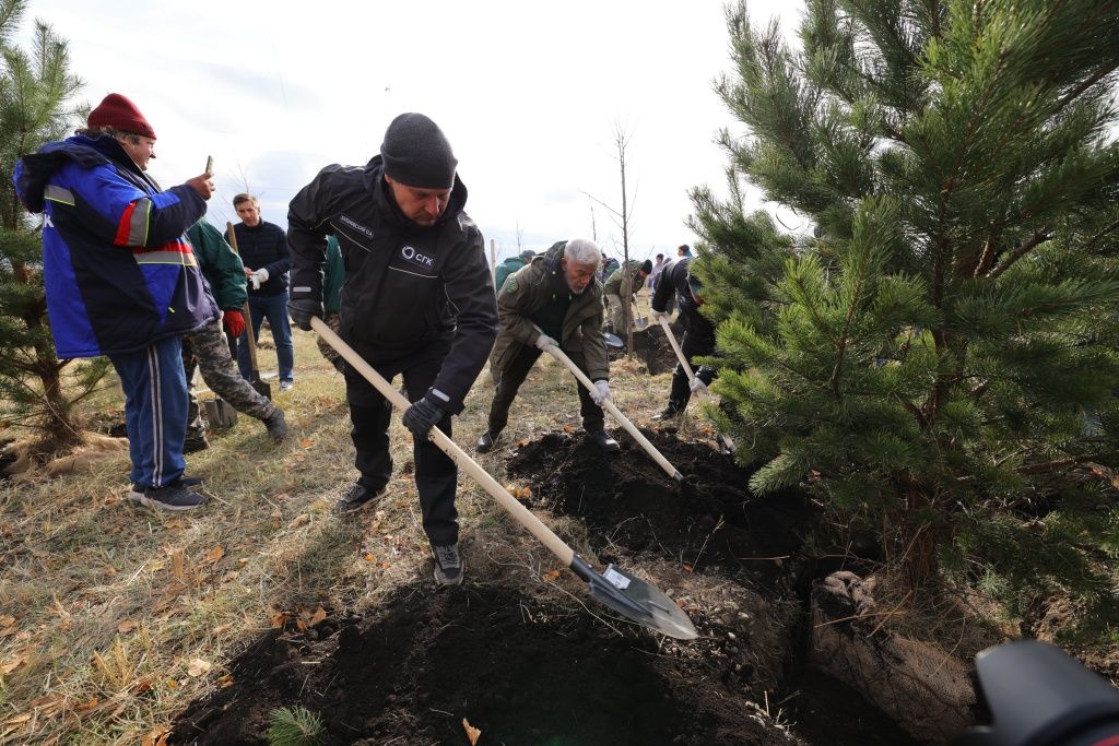 Командная работа на площадке