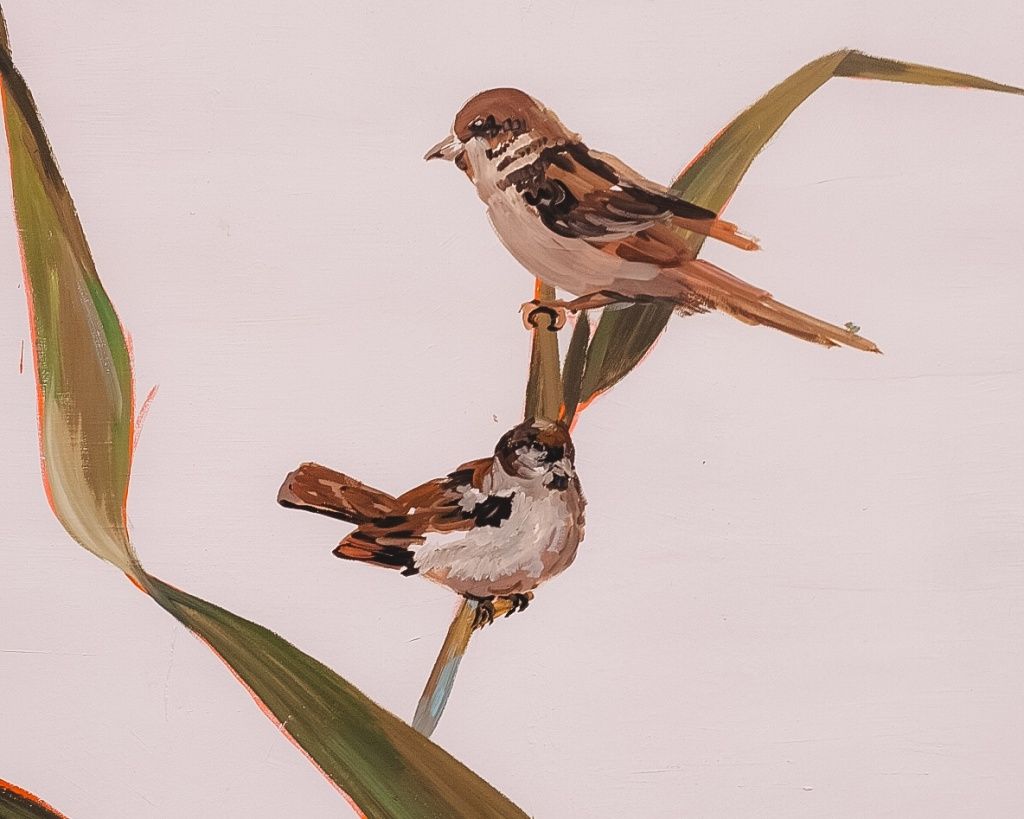 Птицы Кузбасса &mdash; во дворе и на фасада ЦТП 