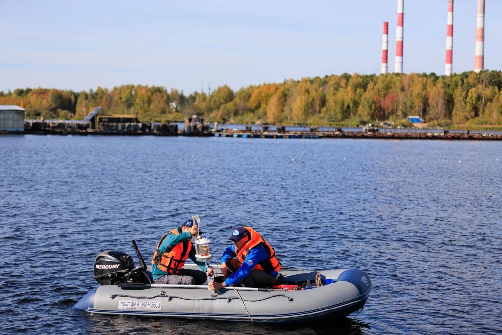 Специалисты Уральского филиала ВНИРО несколько раз в год проводят гидробиологический анализ Рефтинского водохранилища 