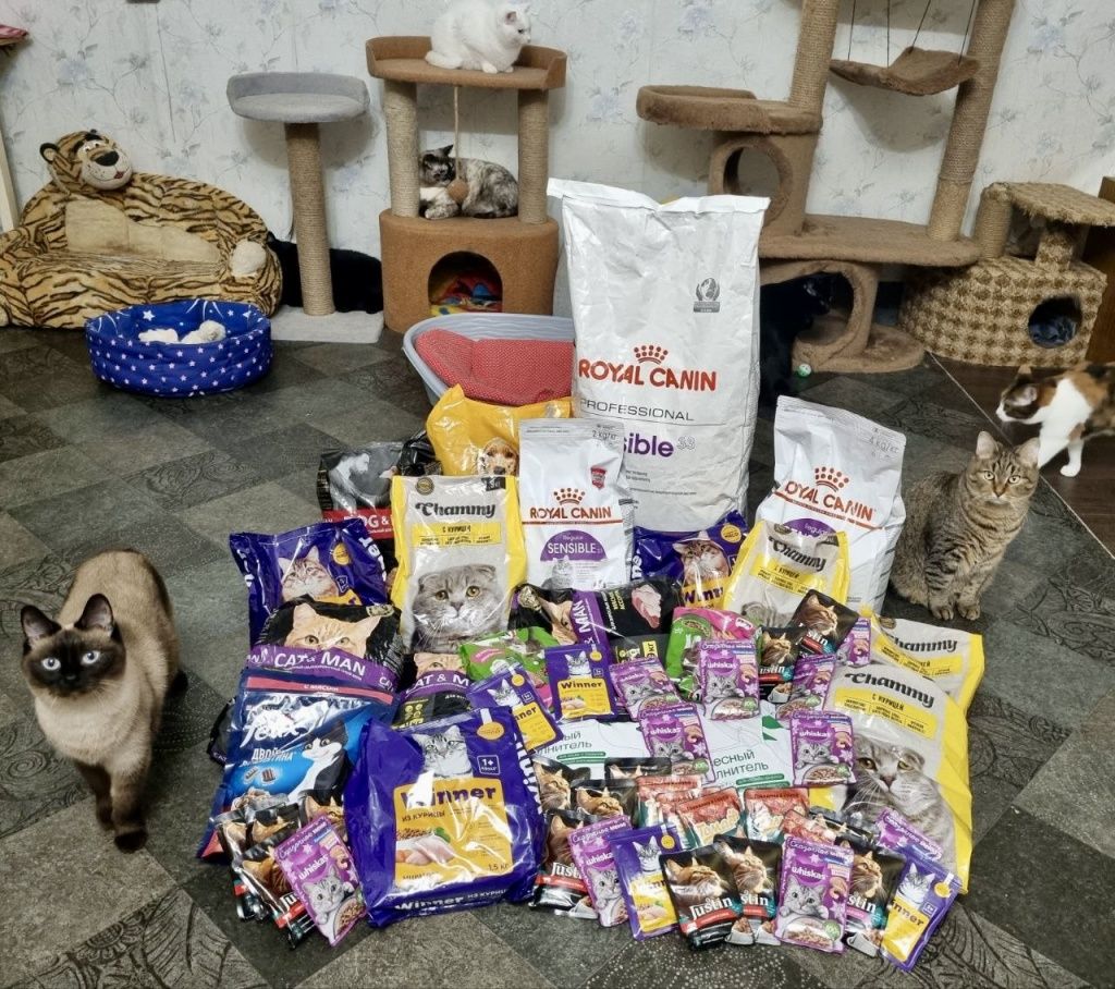 Распаковка корма, собранного в точке на улице Октябрьской 