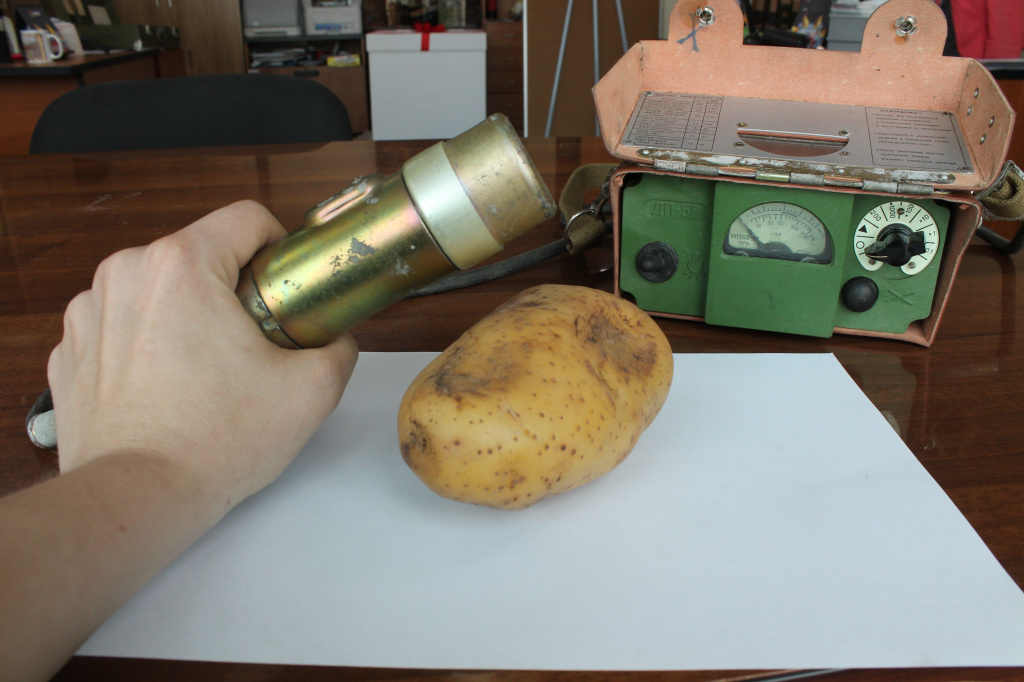 Первым измерениям фона подвергся картофельный клубень