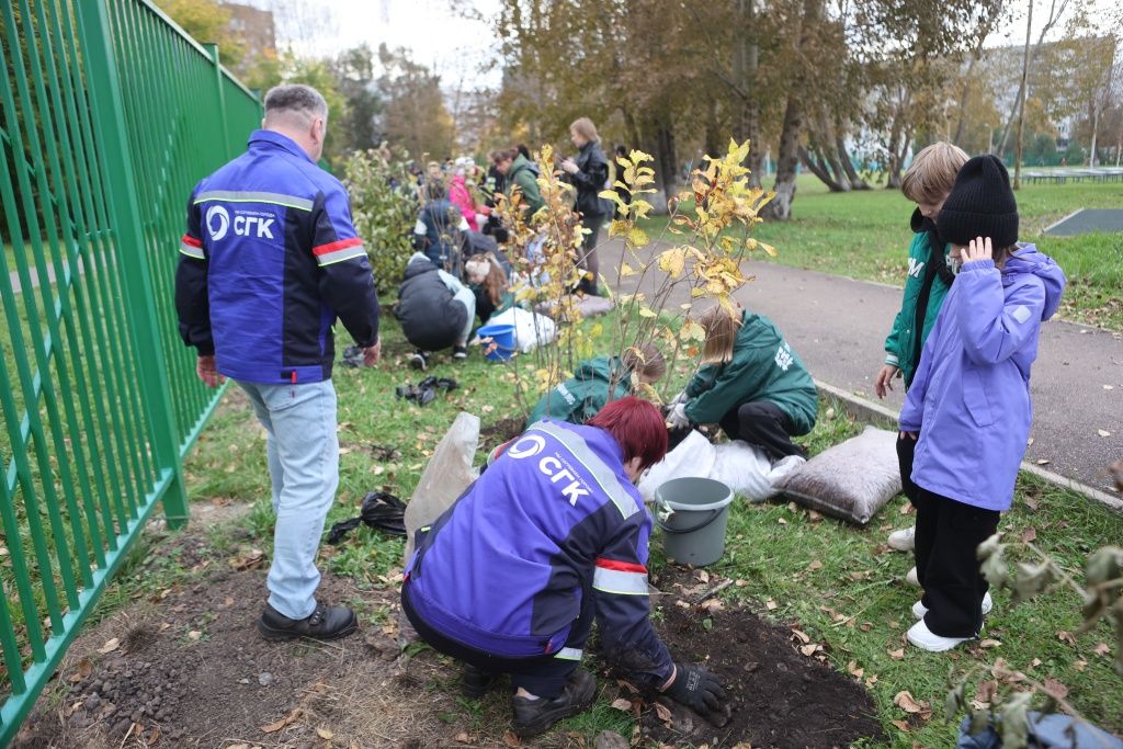 Всего вместе с Фондом Мельниченко в этом году энергетики высадят 600 саженцев различных деревьев
