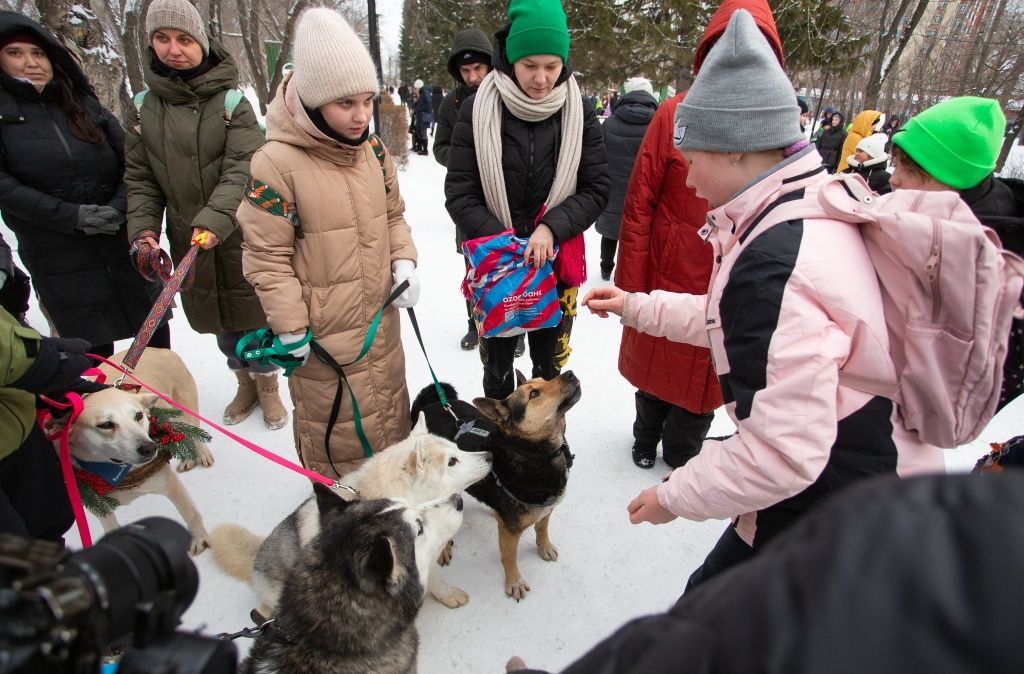 Получив заряд новогоднего настроения, многие горожане оказали свою посильную помощь питомцам приюта &laquo;Бусинка&raquo;