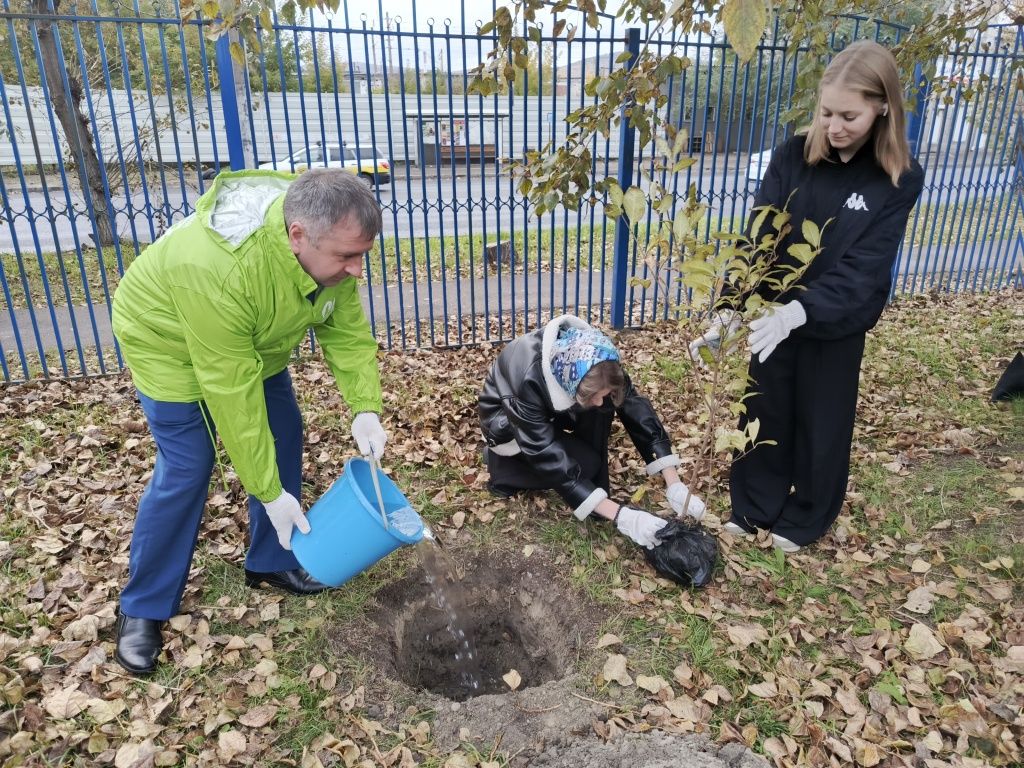 Школьники высадили молодые саженцы сирени