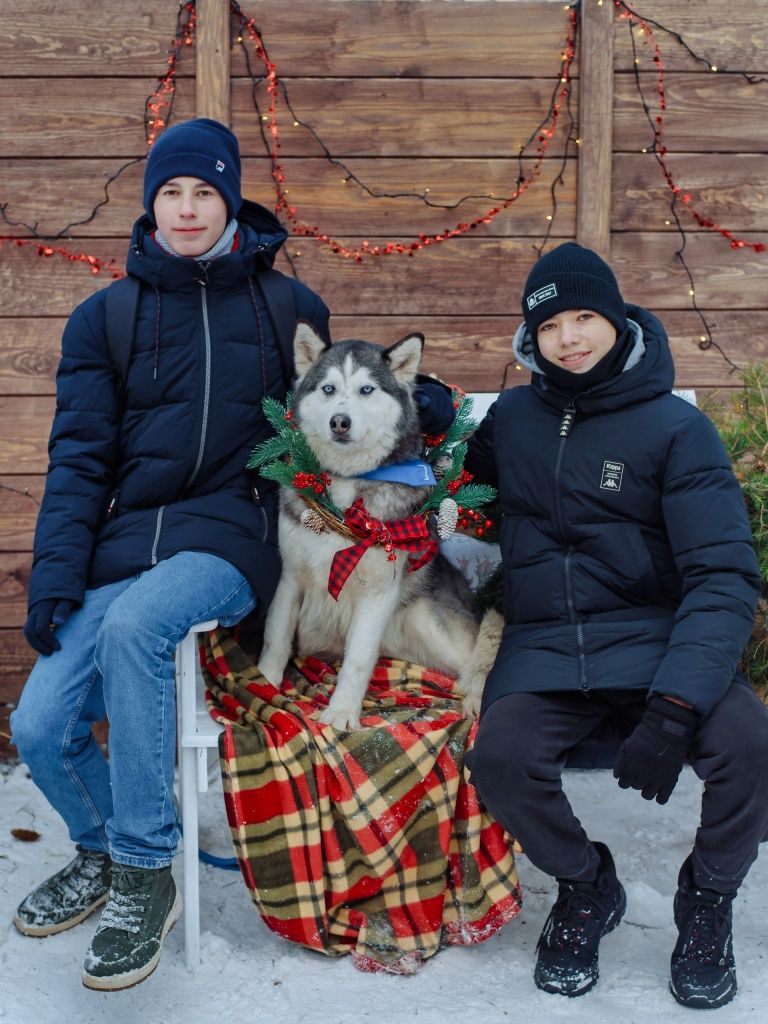 Взрослые и дети с удовольствием фотографировались с хаски на память 