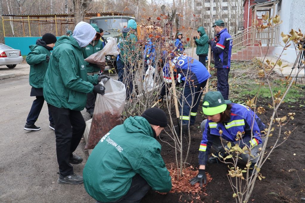 Сохраним лес вместе