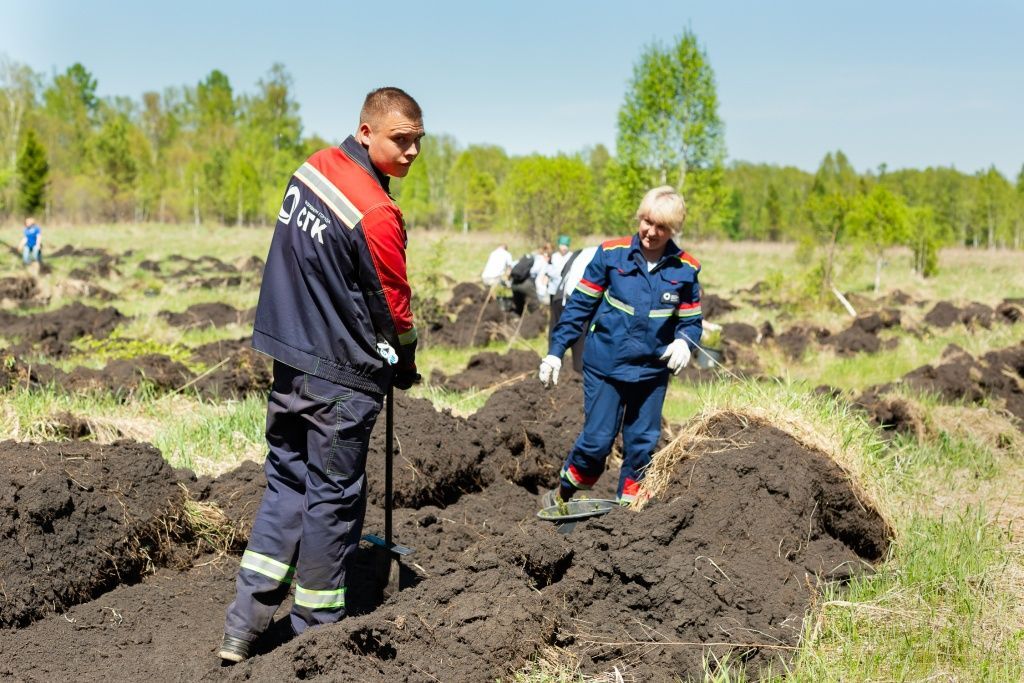 Большой дружной компанией справились с работой за два часа. 