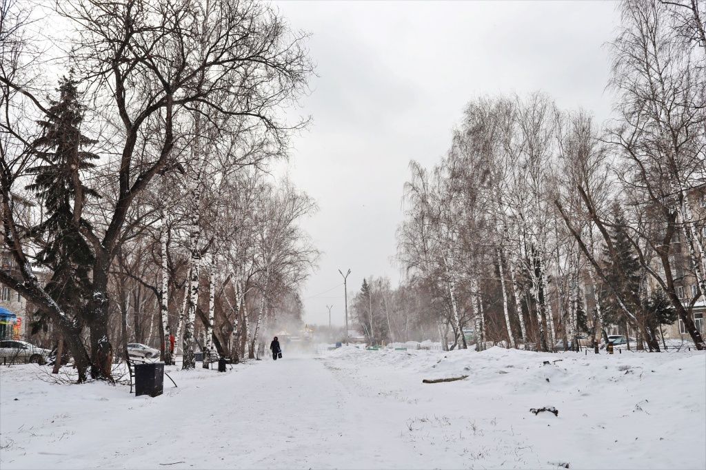 Бульвар 50-летия ВЛКСМ в Бийске. Март 2025 года. Фото газеты &laquo;Бийский рабочий&raquo;