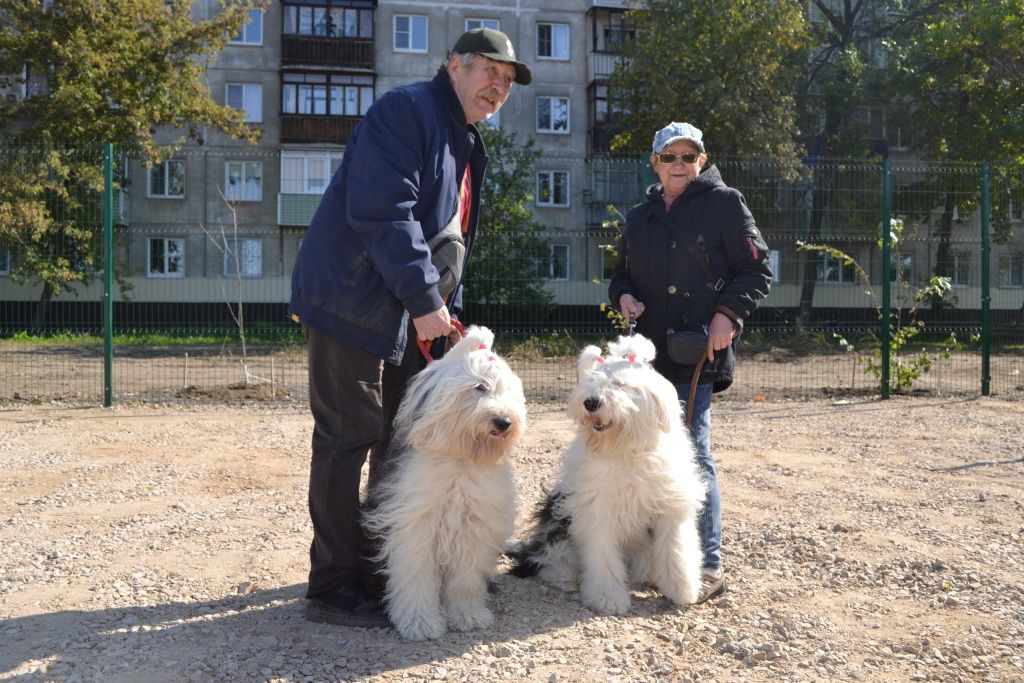 Хозяин бобтейлов Джефлин и Фифы Андрей Камбаров остался доволен новой площадкой