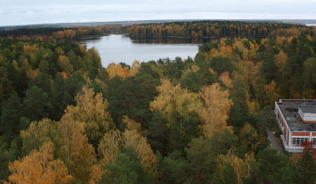 Красота осеннего леса в поселке Рефтинский завораживает