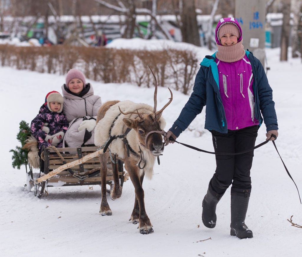 Гости мероприятия с удовольствием катались на северном олене и пони