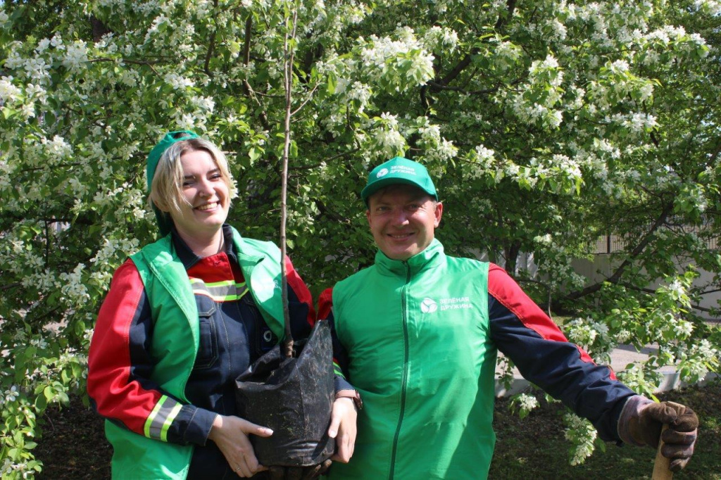Сотрудники СГК вместе с жителями высадили новые деревья в 10 городах Сибири 