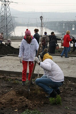 Зеленая дружина