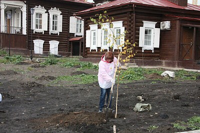 Зеленая дружина