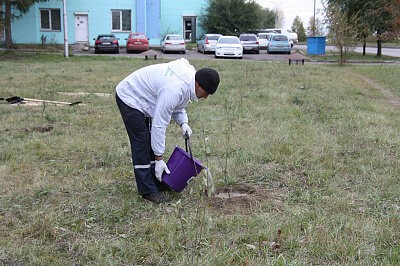 Зеленая дружина