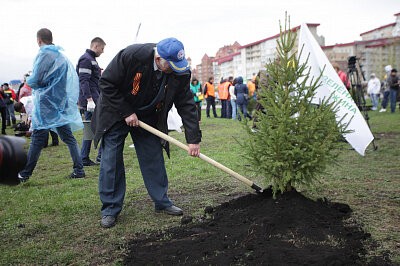 «Аллея России» в Красноярске