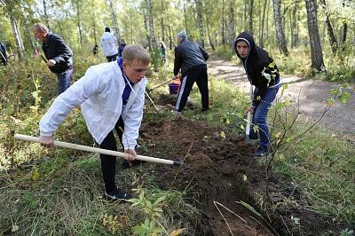 Зеленая дружина