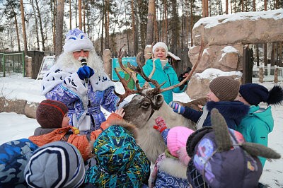 Проект "Поделись теплом" в Красноярске, декабрь 2017