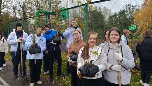 Делаем наш город ярче! В Красноярске продолжается осенний экомарафон «Зеленой дружины» СГК