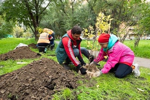 Тепло – в дома, зелень – во двор: СГК и жители восстановили сквер после ремонта теплосети