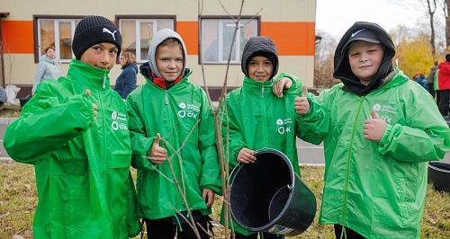200 саженцев сирени и более двух тонн макулатуры. В Красноярске продолжается осенний экомарафон «Зеленая дружина»