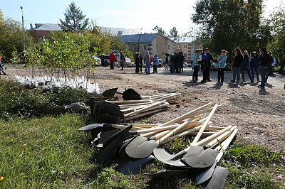 Зеленая дружина
