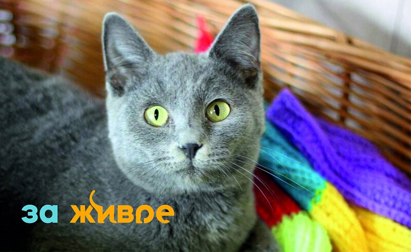 Уходим На Новогодние Каникулы Уходим На Новогодние Каникулы
