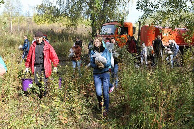 Зеленая дружина