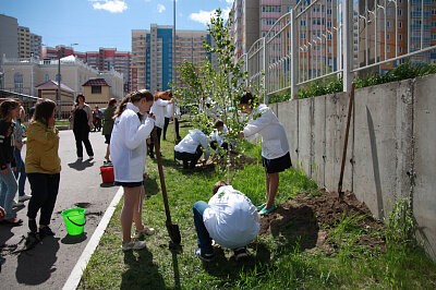 «Экомарафон – 2017»: как мы в Красноярске 1500 деревьев посадили