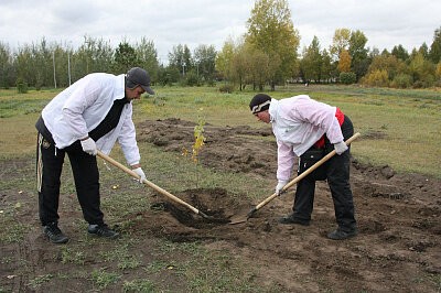 Зеленая дружина