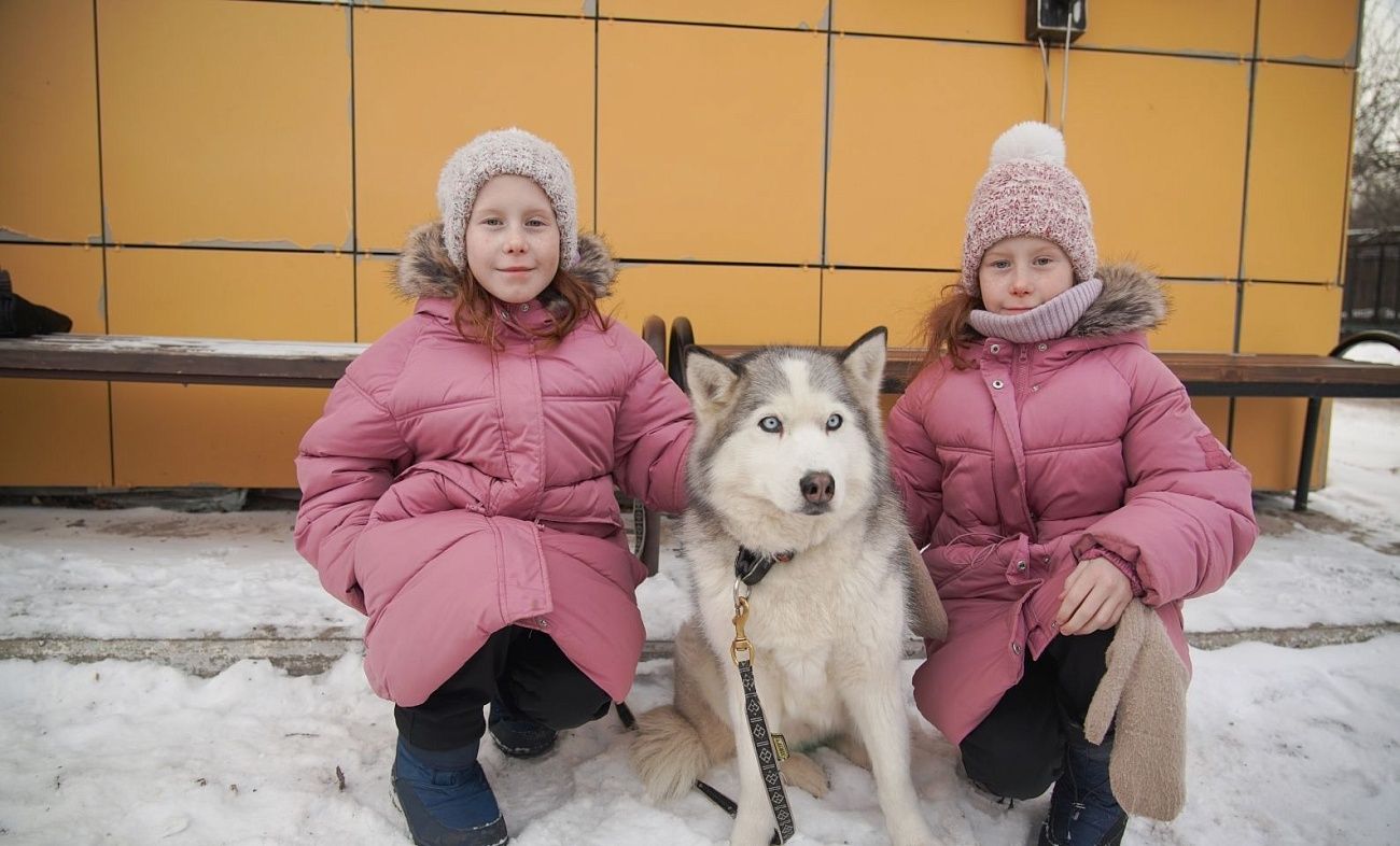 Хрустящая пицца и обнимашки с хаски: в Красноярске прошла финальная встреча социального проекта СГК «Поделись теплом»