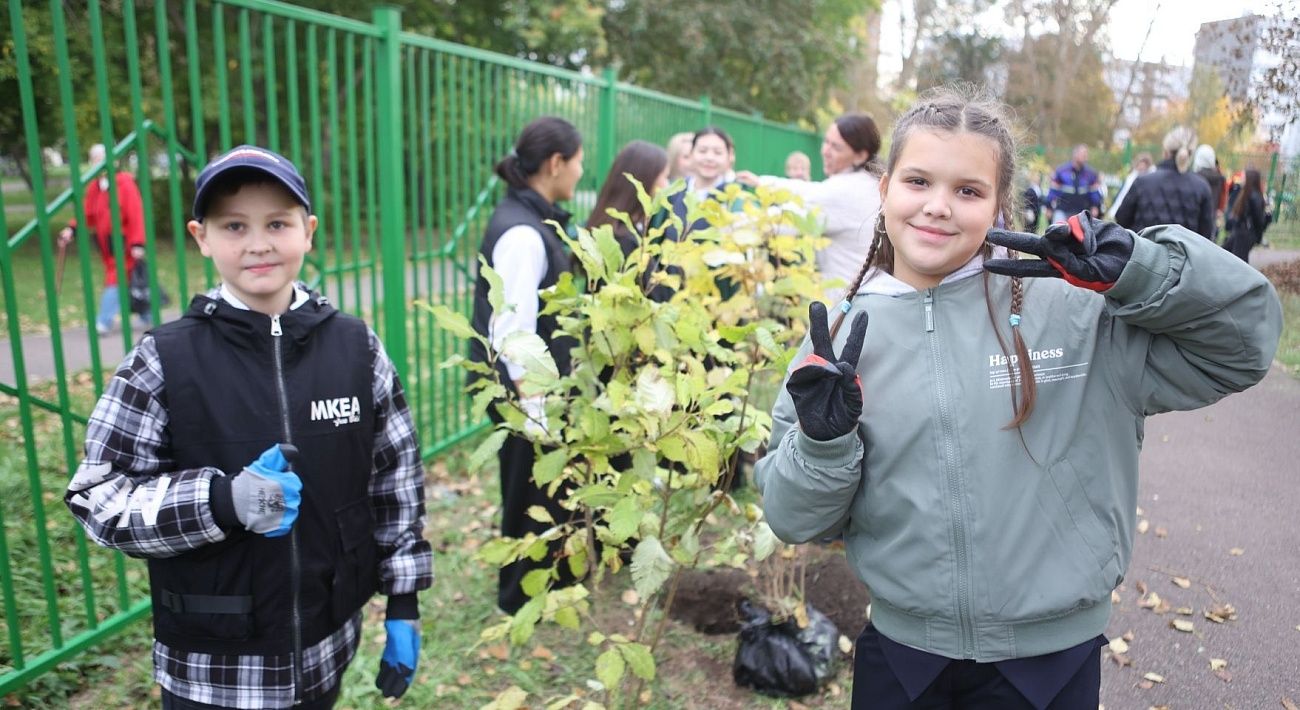 В красноярской школе высадили около 30 саженцев сирени